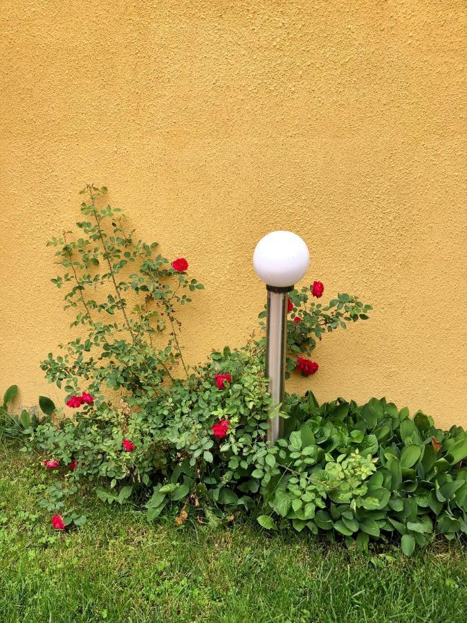 Nice&Cozy Apartament Sighisoara Bagian luar foto